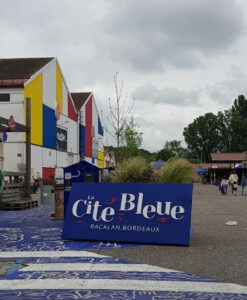 La-cite-bleue-bordeaux
